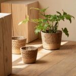 Cache pots en osier avec une plante à l'intérieur.