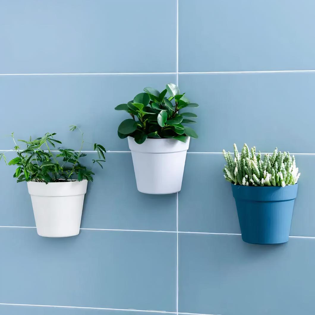 Pots de fleurs muraux blanc, gris et bleu sur mur bleu.