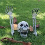 Déco halloween squelette de jardin dans une pelouse.